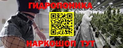 трава Гатчина