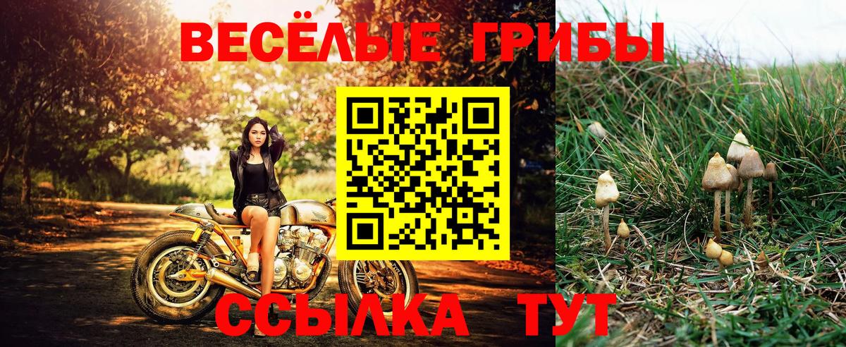 Псилоцибиновые грибы мицелий Бугульма