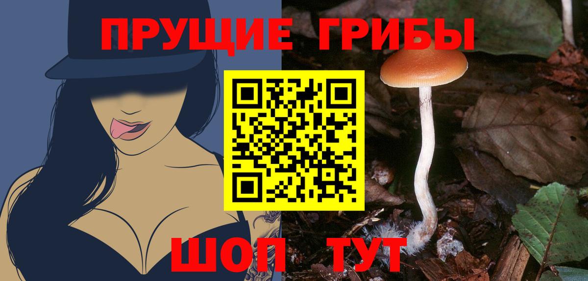 Галлюциногенные грибы мухоморы  Вход с VPN  Бугульма  Псилоцибиновые грибы MAGIC MUSHROOMS 